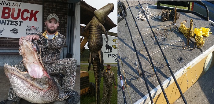 S.C. gator hunt picture